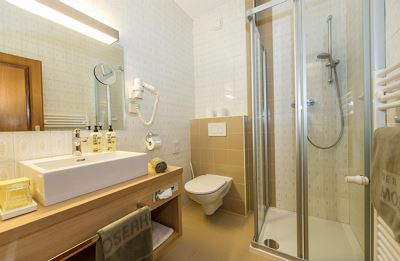 Double room, shower, toilet, modern conveniences