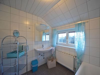 Apartment, shower and bath tub, south
