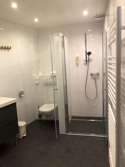 Apartment, shower, toilet, balcony