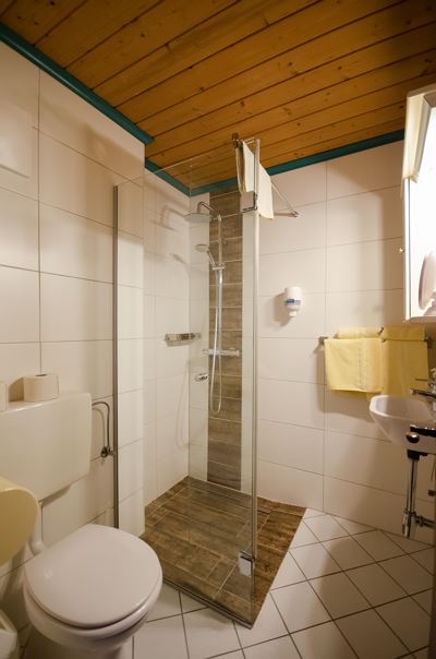 Family room, shower or bath, toilet, balcony