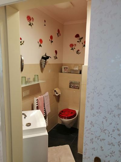 Double room, shower, toilet, superior