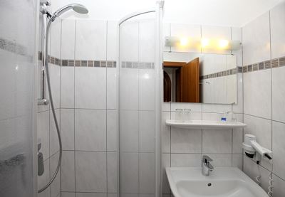 Apartment, shower or bath, toilet, living room/bedroom
